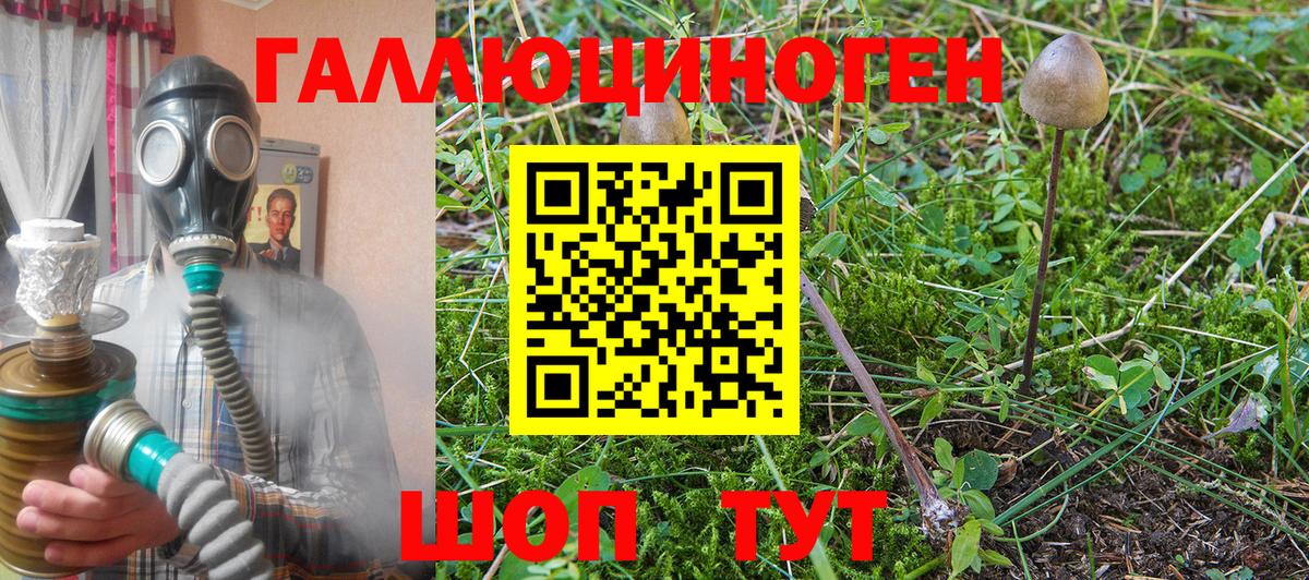 Галлюциногенные грибы MAGIC MUSHROOMS  Вход с VPN  Истра 
