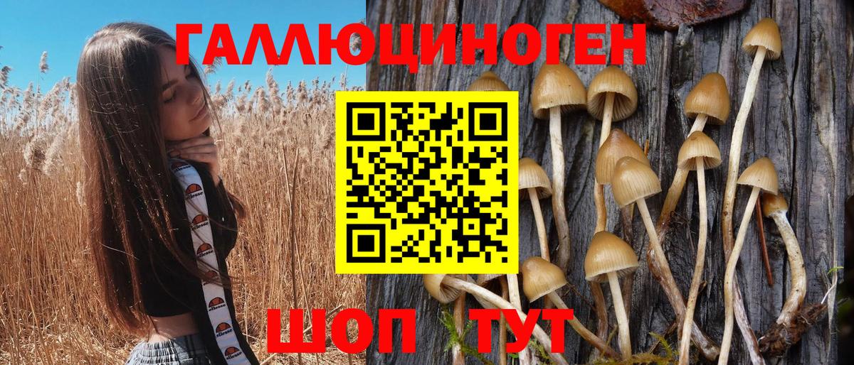 Галлюциногенные грибы мицелий Истра